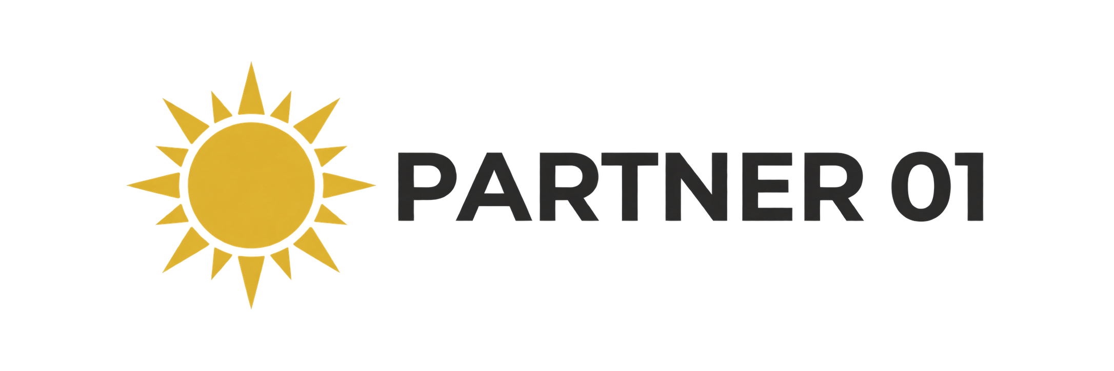 Partner 01