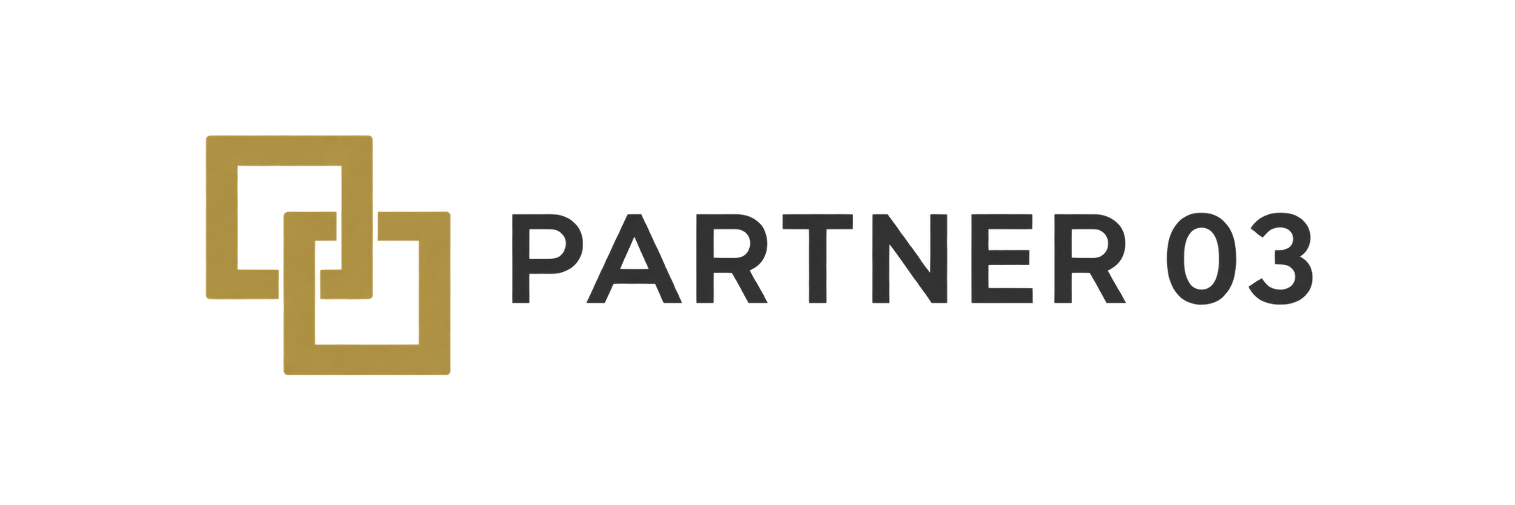 Partner 03