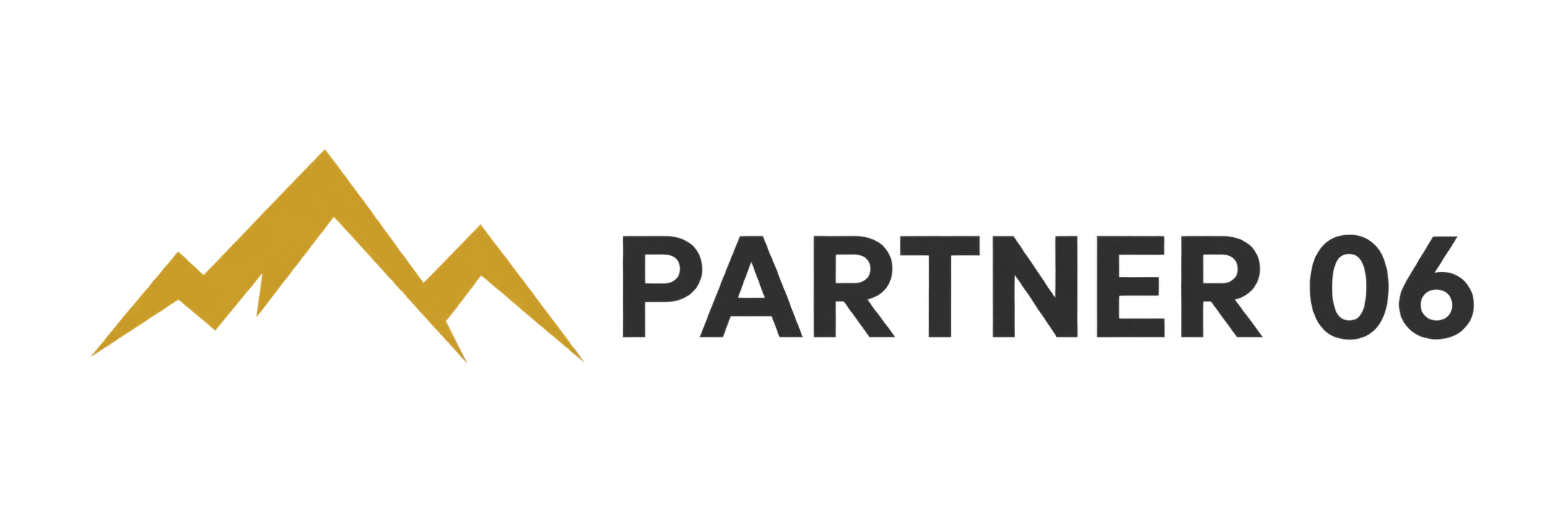Partner 06